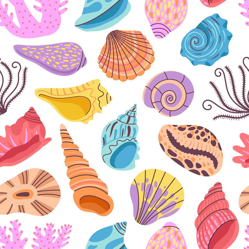 Seashell seamless pattern. Clams background, seashells print. Sea and By  Microvector