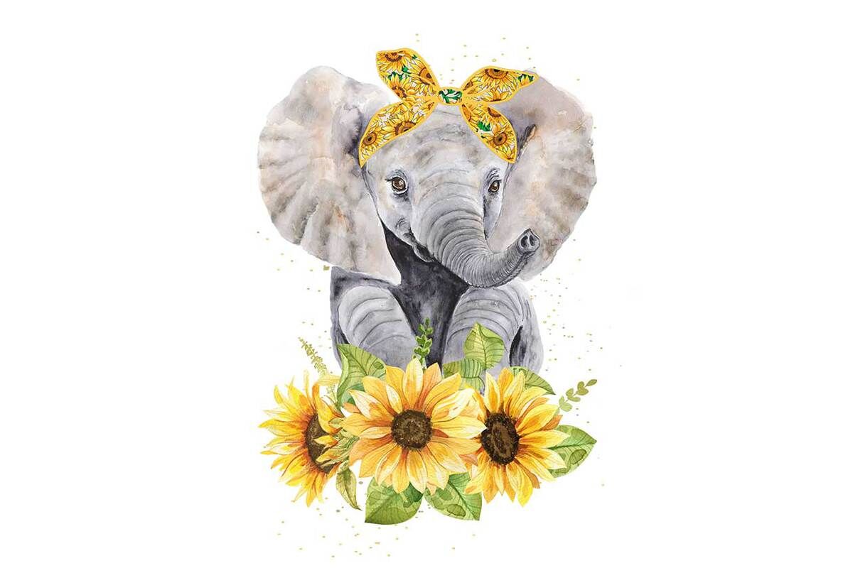 Elephant Sunflower Sublimation By BlossomFonts | TheHungryJPEG