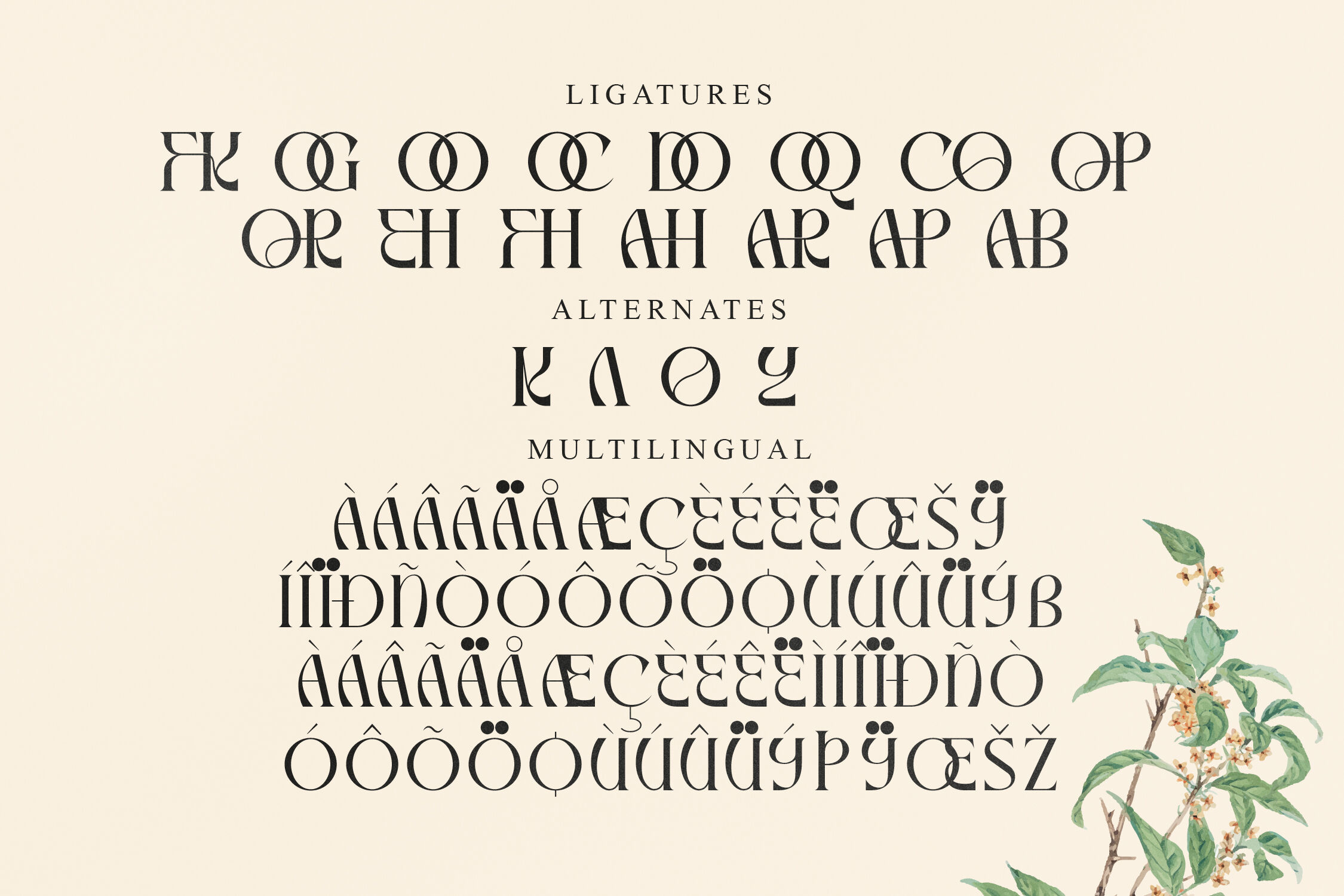 Mallory Typeface By Storytype Studio | TheHungryJPEG