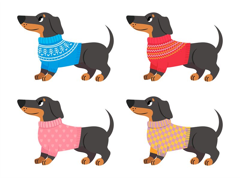 https://media1.thehungryjpeg.com/thumbs2/ori_4123279_ljdlsy16qznsrkmvel4eo2w3l730aotg5mttm5vn_collection-of-dachshund-clothes-sweater-for-dogs.jpg