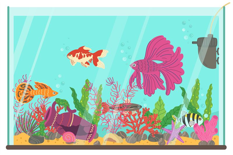 Aquarium with fish. Home fishes breeding, little color decorative