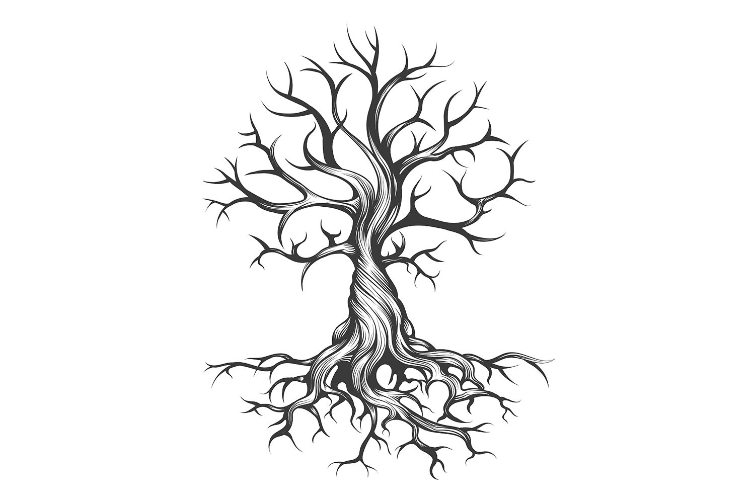 Tree Tattoo Snag Drawing Branch, tree root, leaf, monochrome, computer  Wallpaper png | PNGWing
