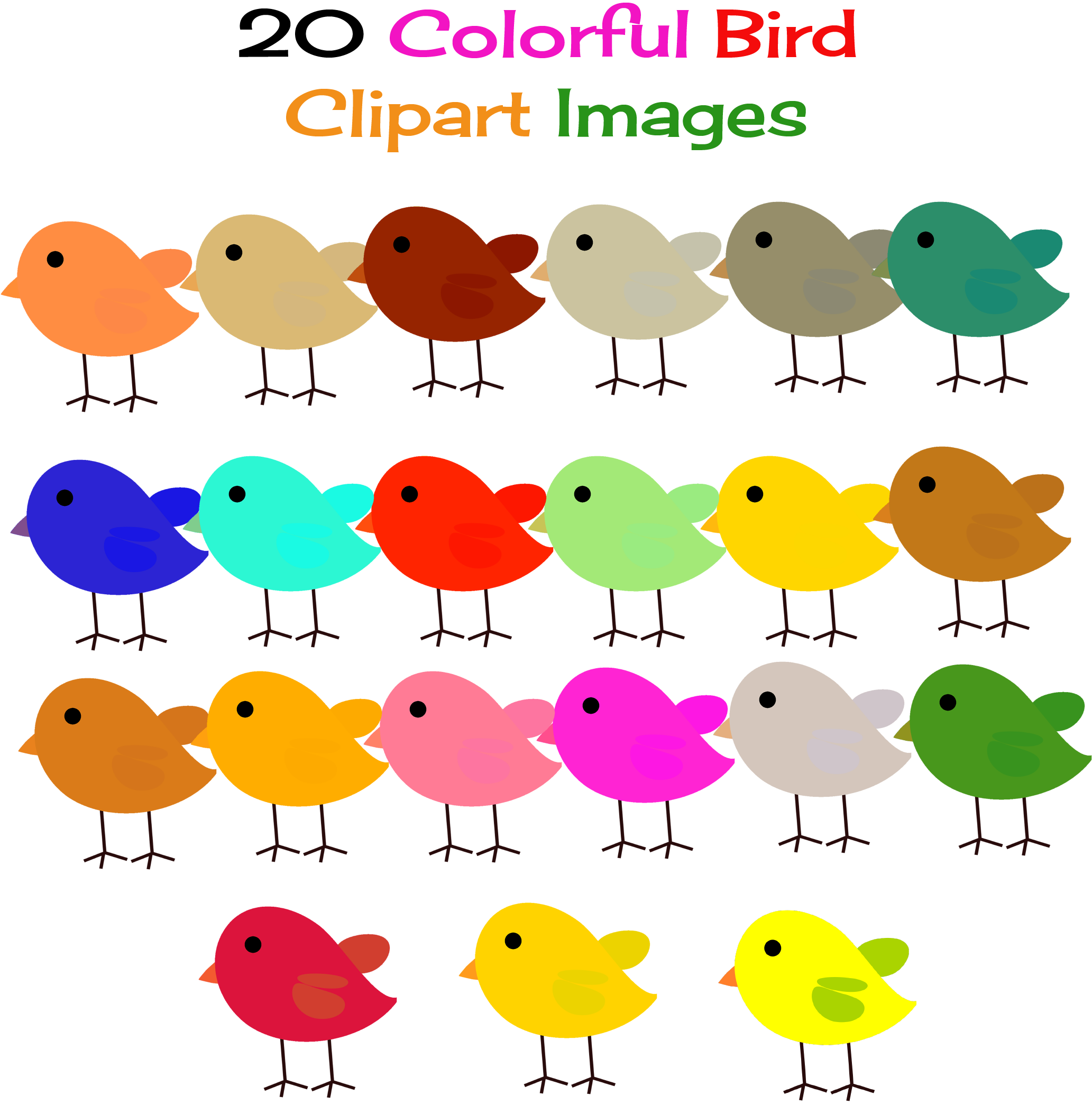 colorful bird clipart