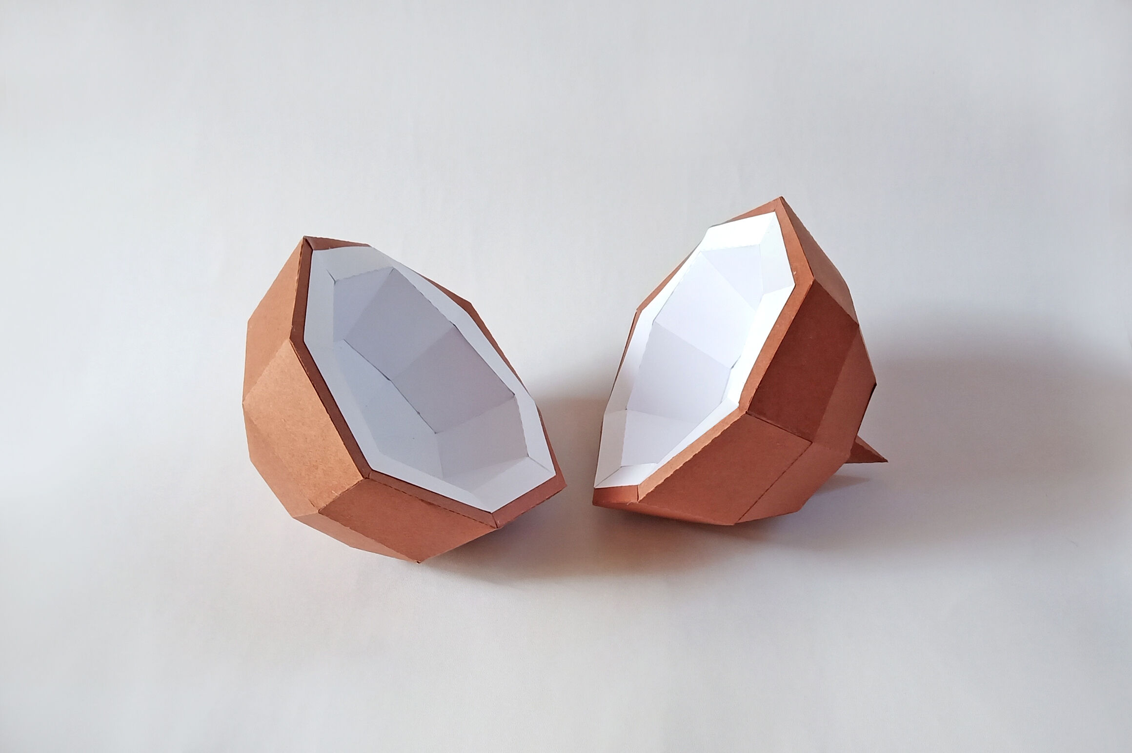 DIY Coconut - 3d papercraft By PAPER amaze