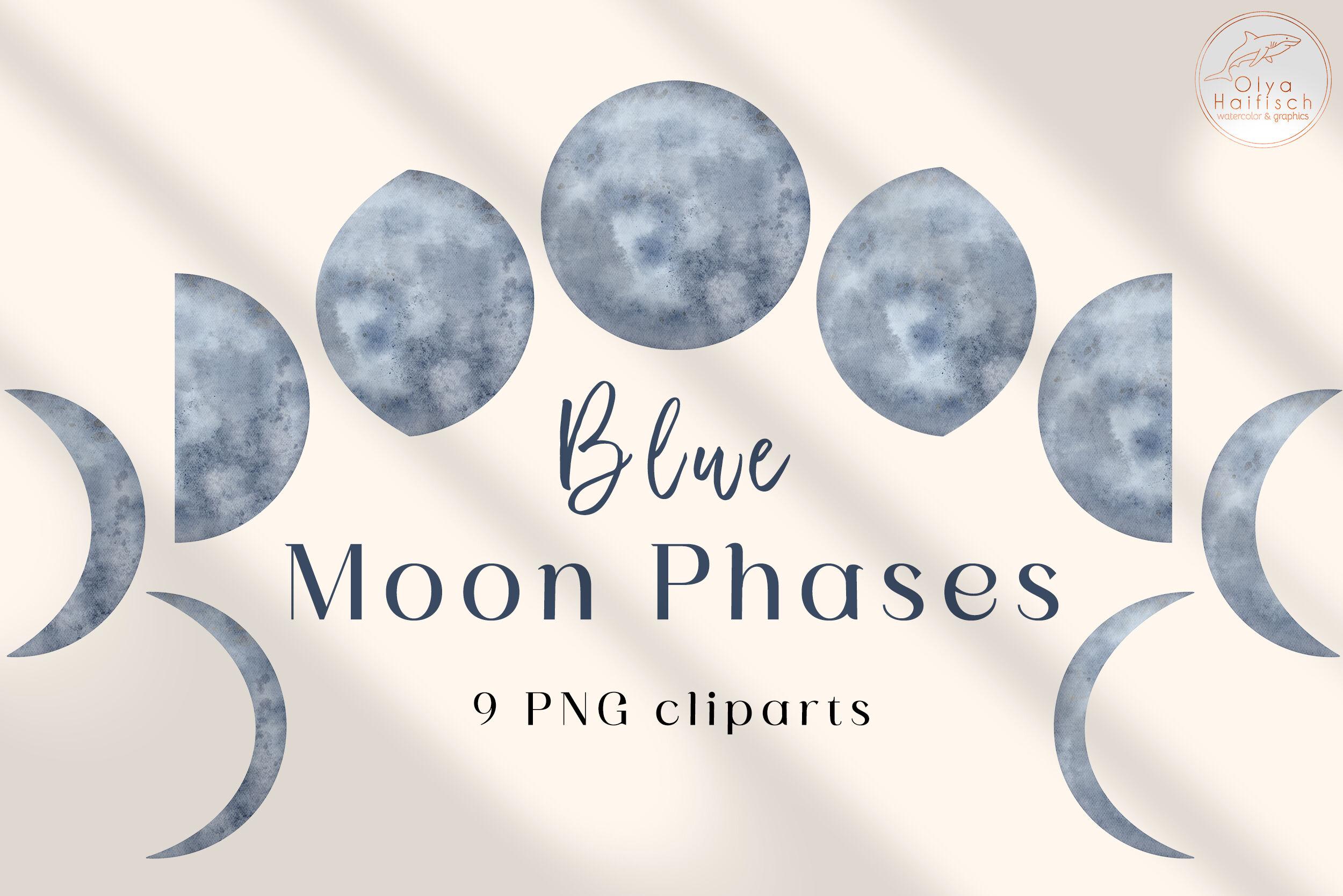 Illustration of Moon phase infographic premium vector PNG