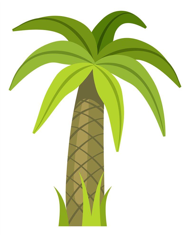 Jungle tree. Cartoon palm. Green nature symbol By YummyBuum ...