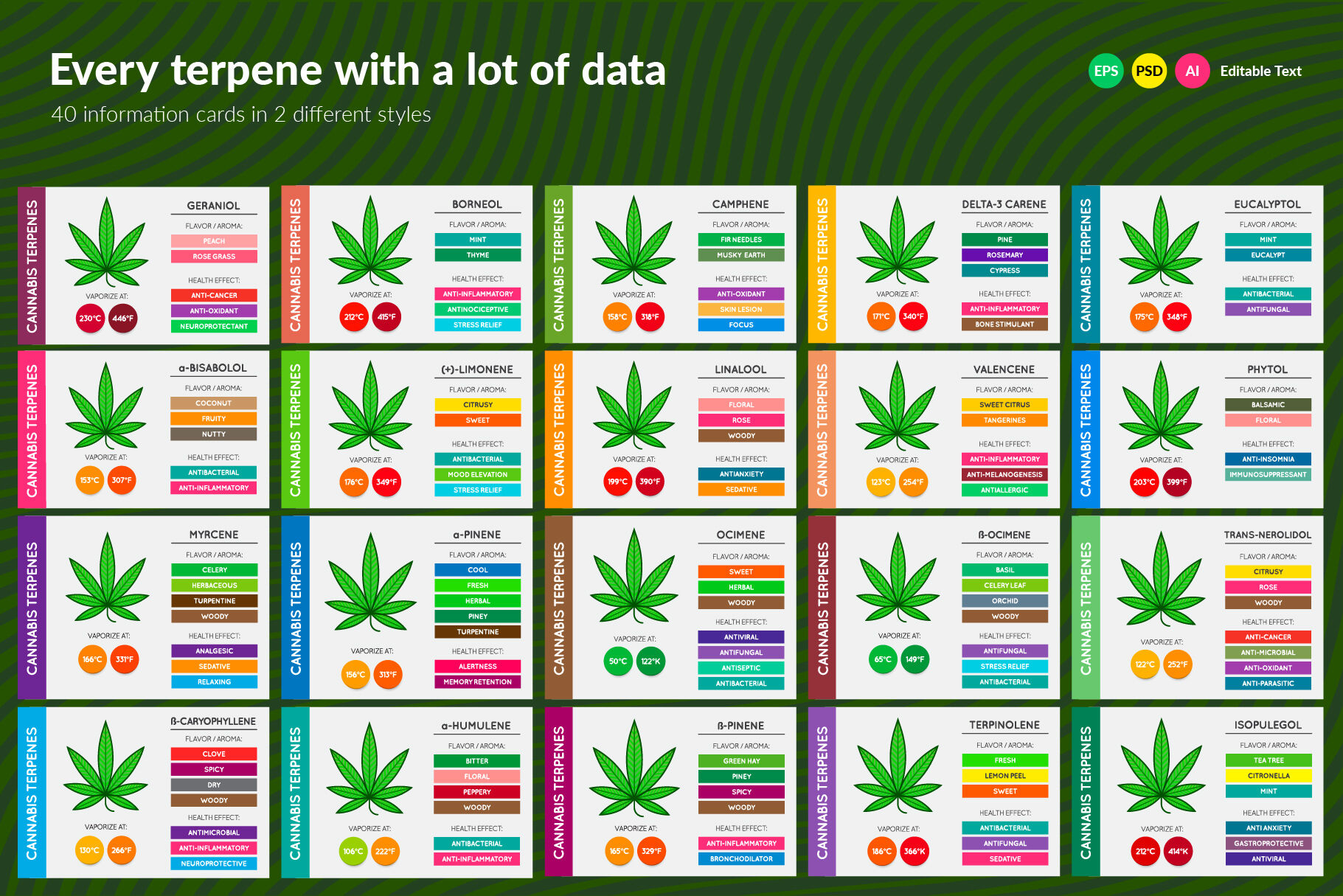 Cannabis Terpenes Information Charts By Ckybe's Store TheHungryJPEG