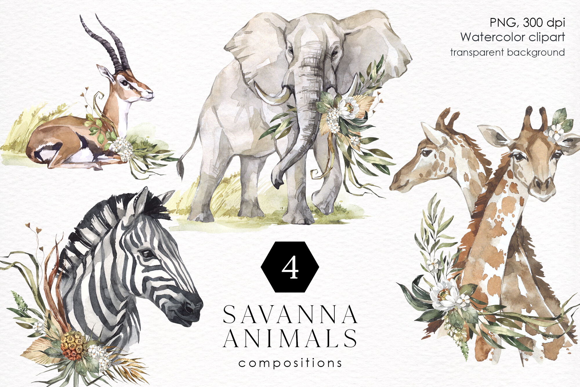 SAVANNA ANIMALS with flowers. Watercolor Africa PNG clipart By Anastezia  Luneva | TheHungryJPEG