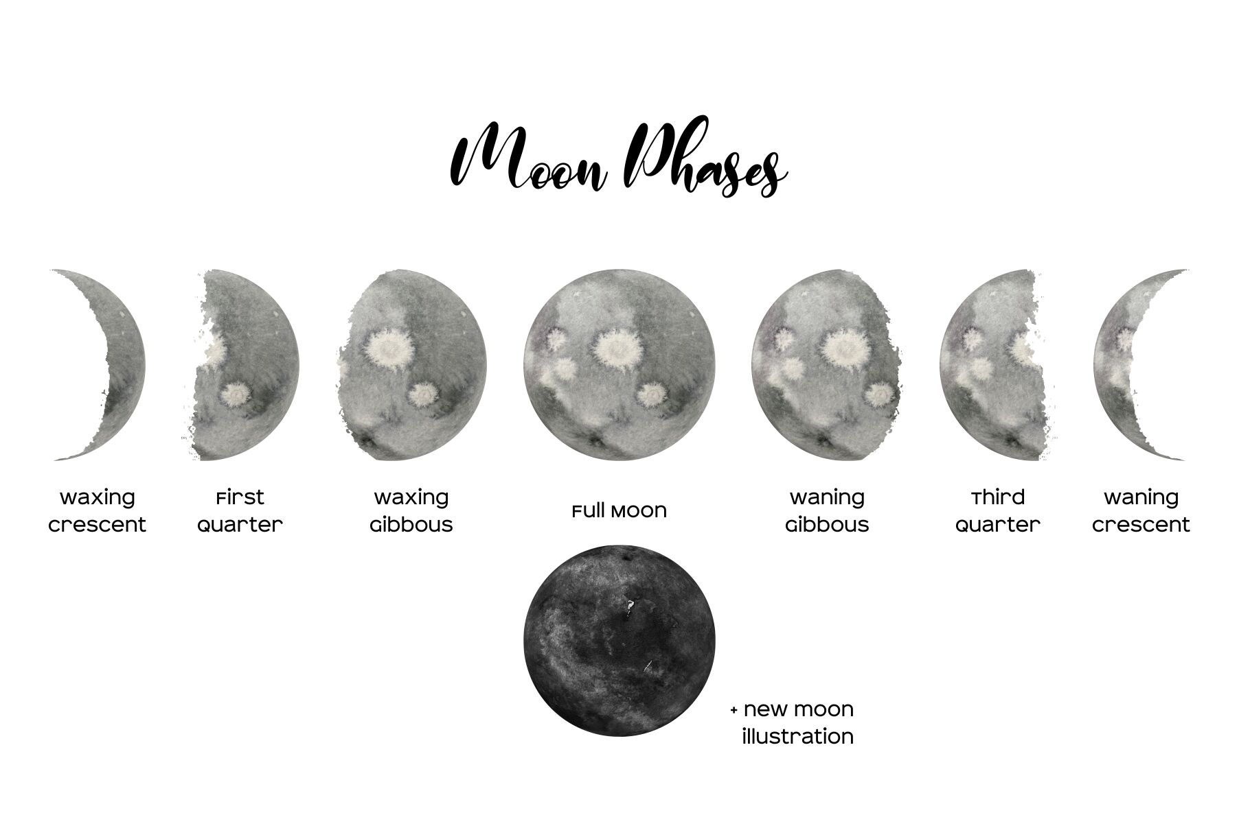 Watercolor Moon Phases Clipart, 8 PNG Ethereal Moon Phases By Art and Funny  | TheHungryJPEG