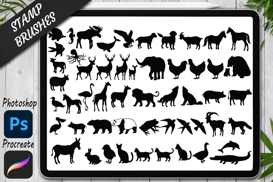 Animals Stamps Brushes for Procreate and Photoshop. IPad Procreate. By  Doodle Cloud Studio | TheHungryJPEG