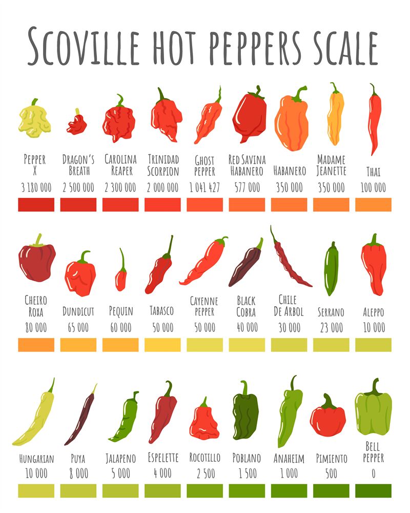 Scoville hot peppers scale. Hot pepper chart spicy level and scoville By WinWin artlab TheHungryJPEG