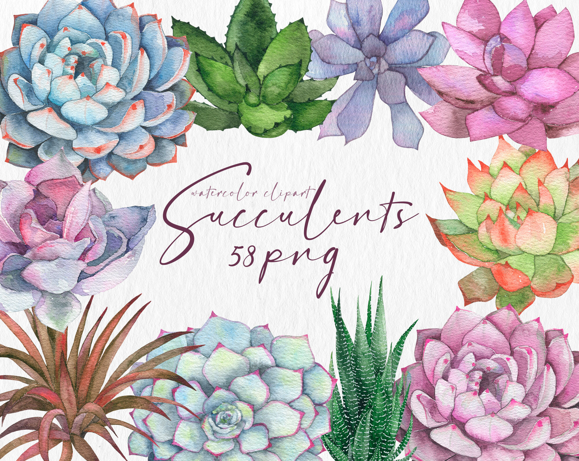Watercolor succulent cactus clipart Watercolor flowers floral png By ...