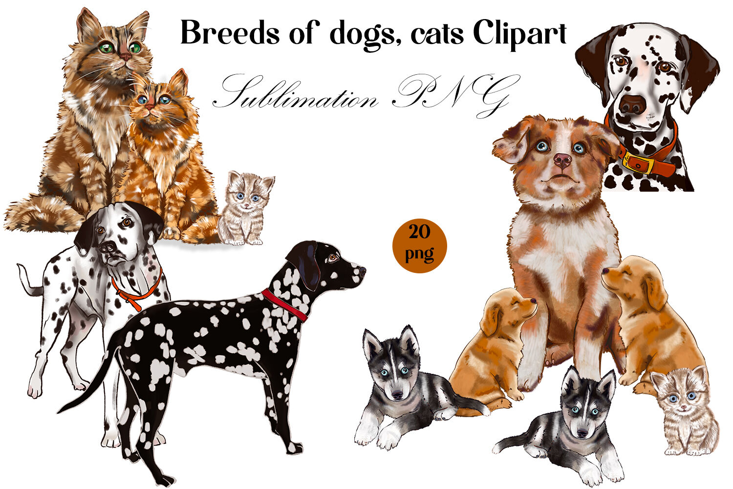 Breeds of dogs, cats Clipart | Sublimation dog PNG By Elenazlata_Art ...