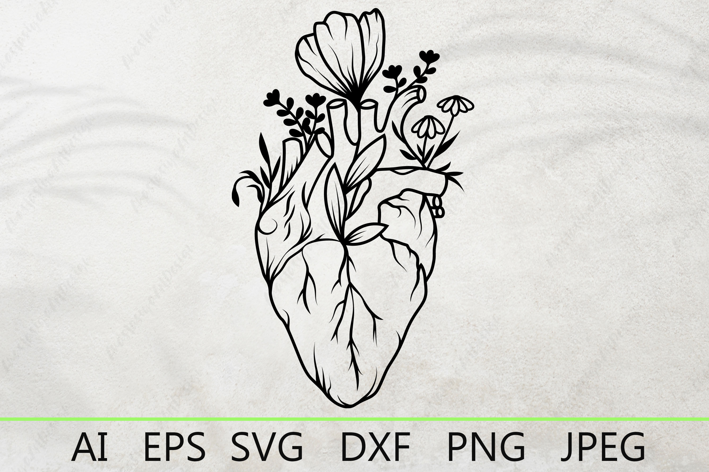 https://media1.thehungryjpeg.com/thumbs2/ori_4163824_lwyn86hawszud6081idjr6qgreqtzga8hu0t66df_human-heart-with-flowers-floral-anatomical-heart-svg.jpg