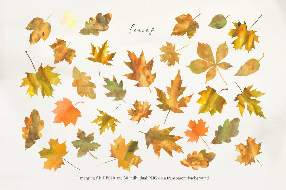 Autumn sentiment - vector collection By Vasmila Design | TheHungryJPEG