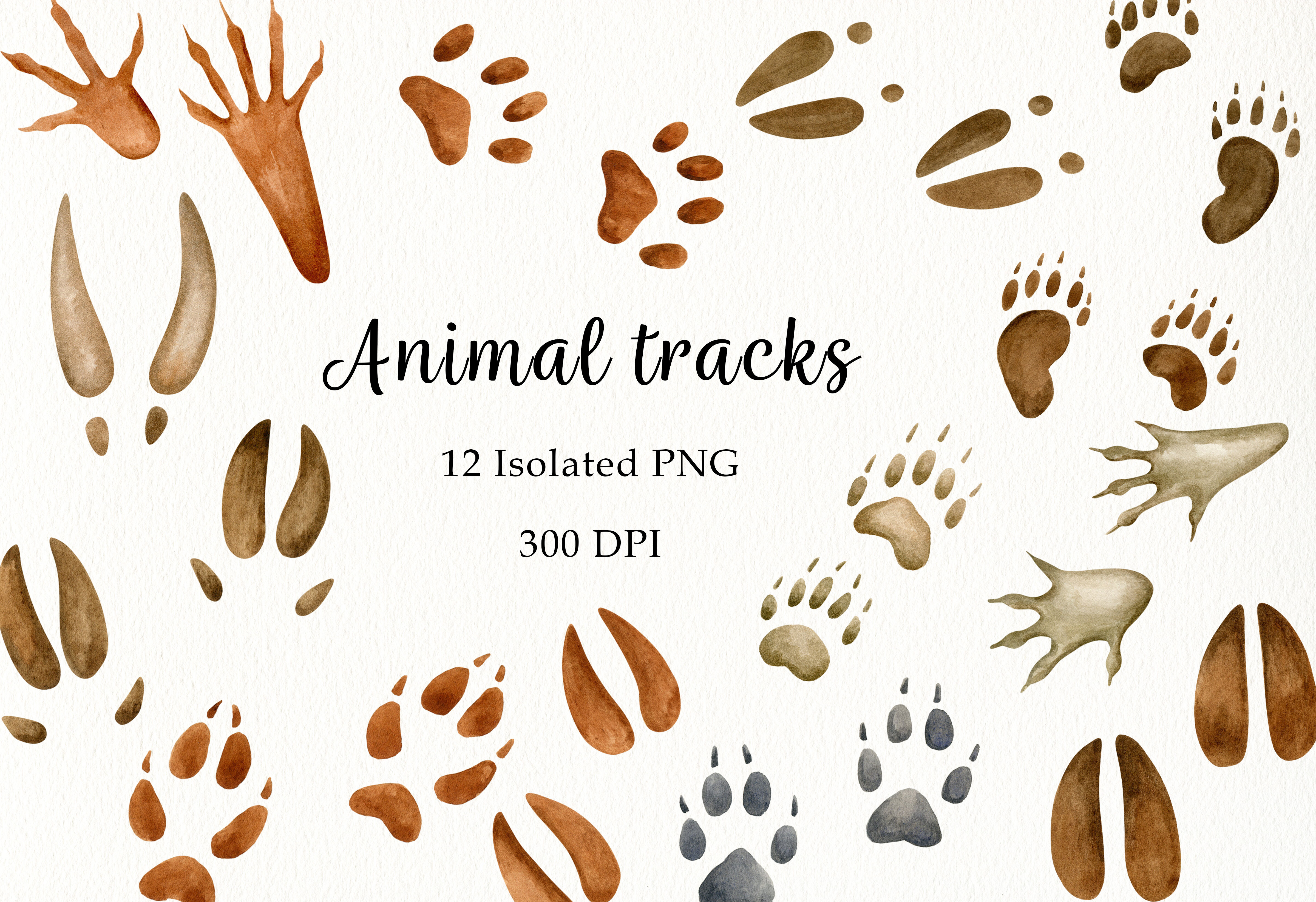 Watercolor animal tracks Clipart. Wild animals footsteps PNG By Svetlana  Sintcova