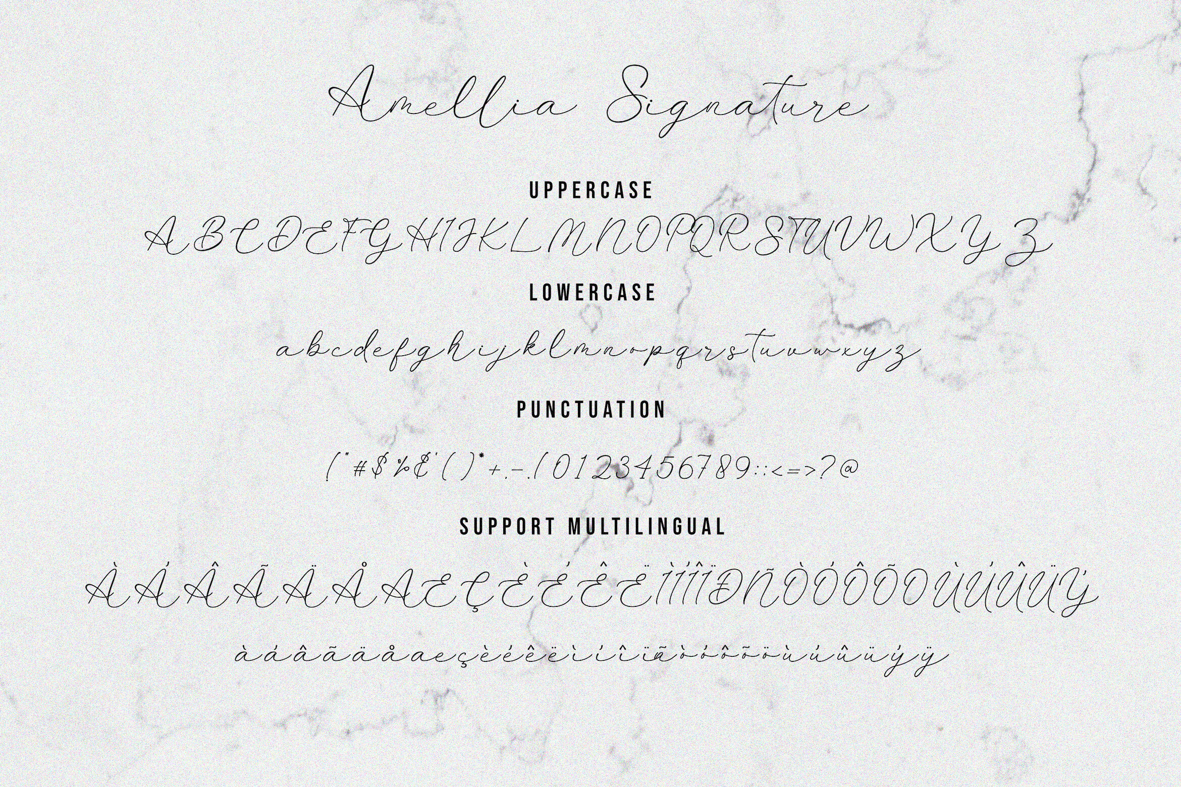 Amellia Signature Font By Juncreative 