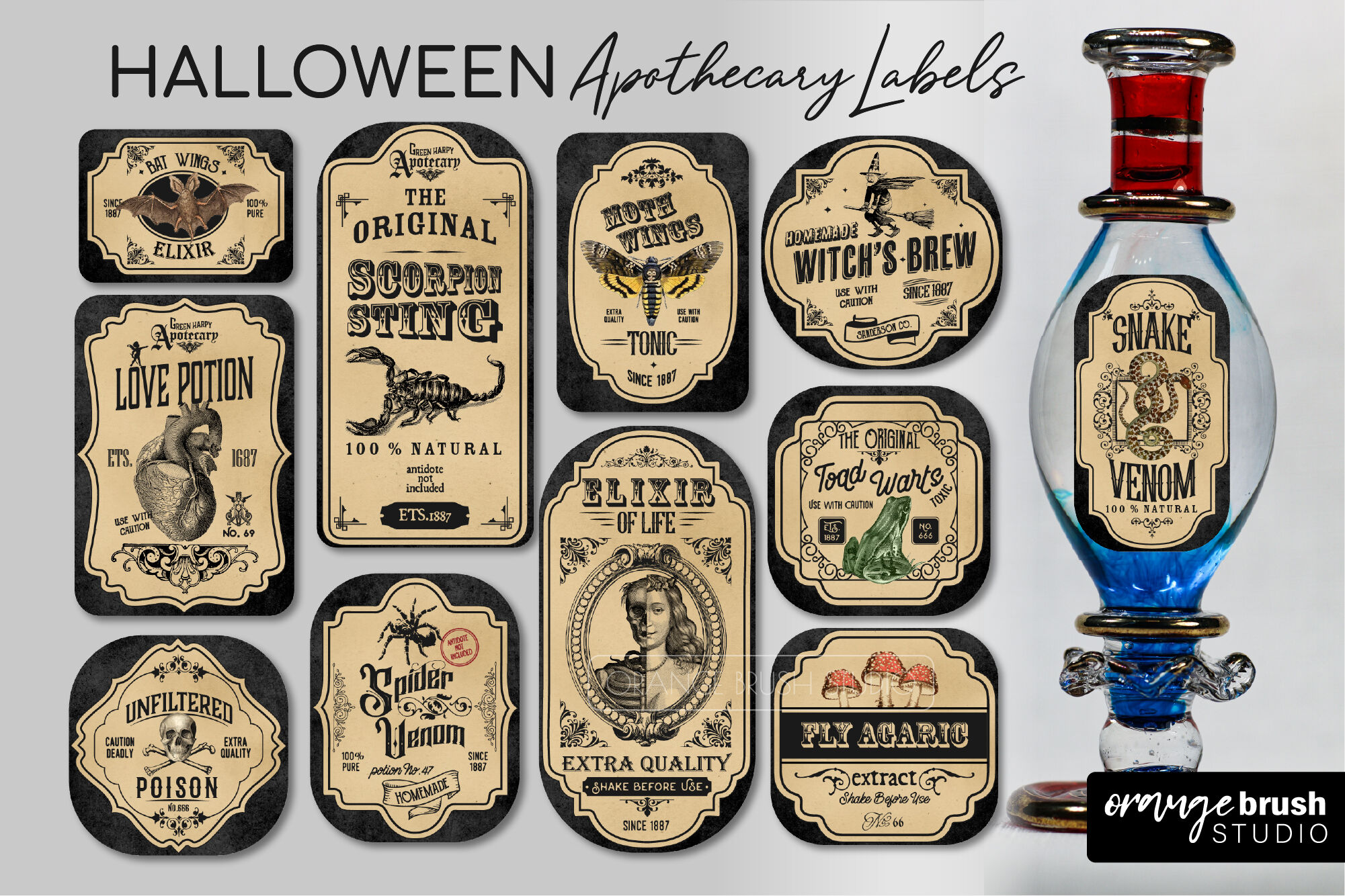 Witch Apothecary Labels Bundle Halloween Potion Bottle Labels By Orange  Brush Studio