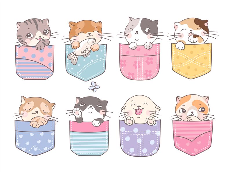 super cute cat kitten' Sticker