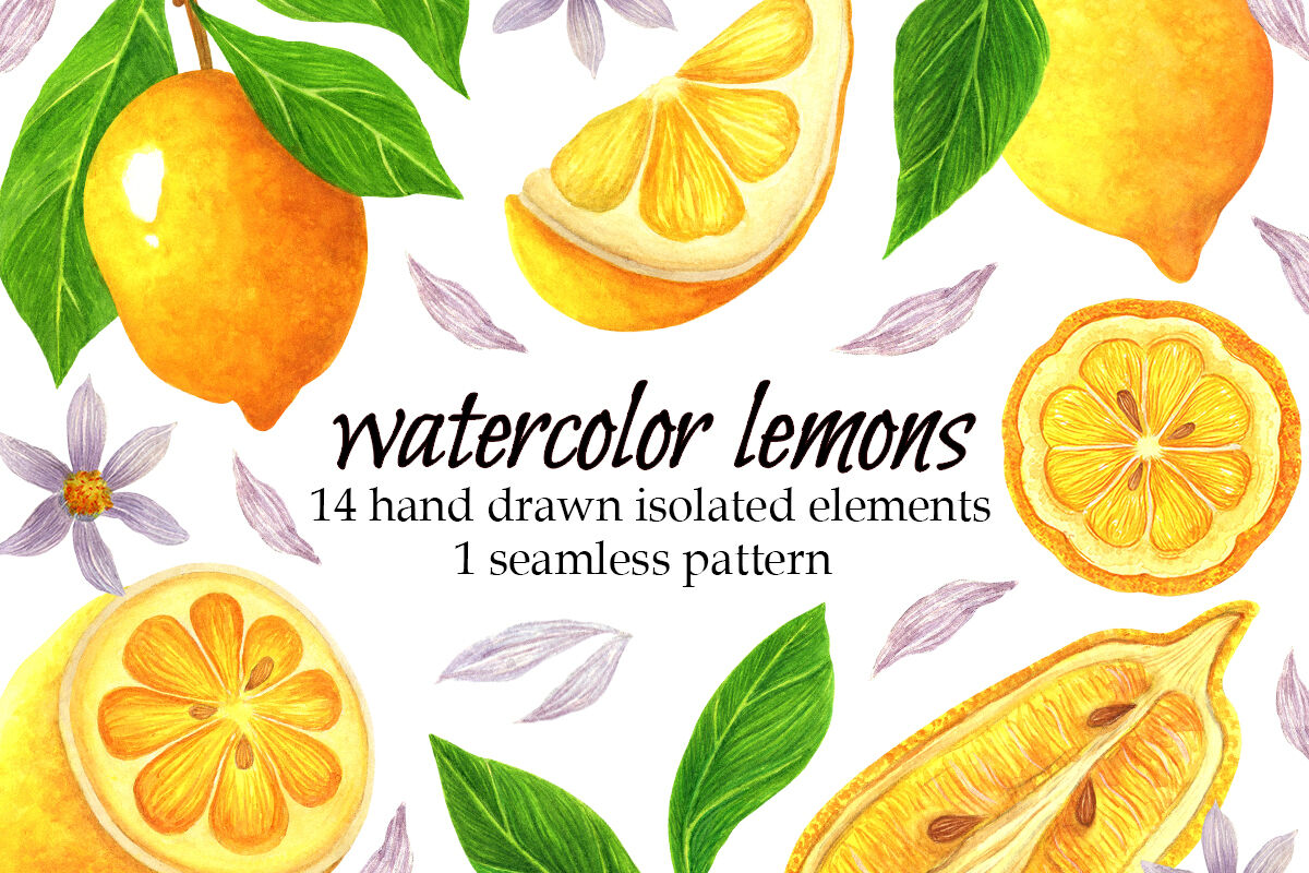 Watercolor lemon clipart, summer tropical fruit PNG By shamanistik_art ...