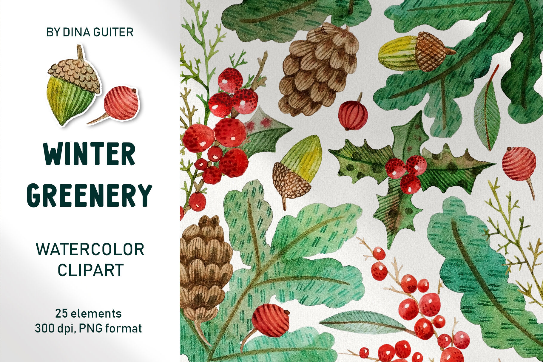 WINTER CHRISTMAS GREENERY CLIPART By DinaGuiter