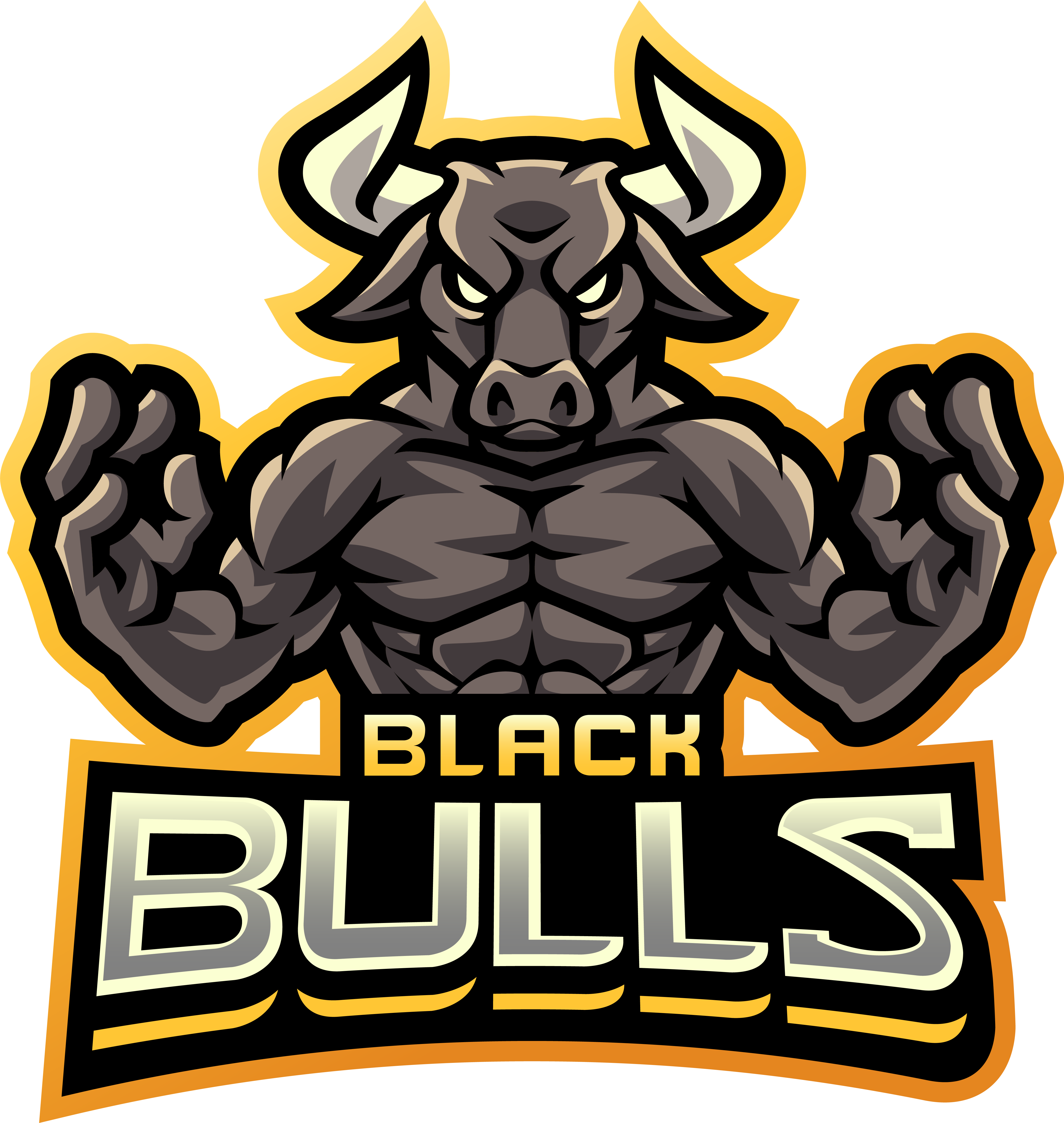 Logos | BlackBull Partners