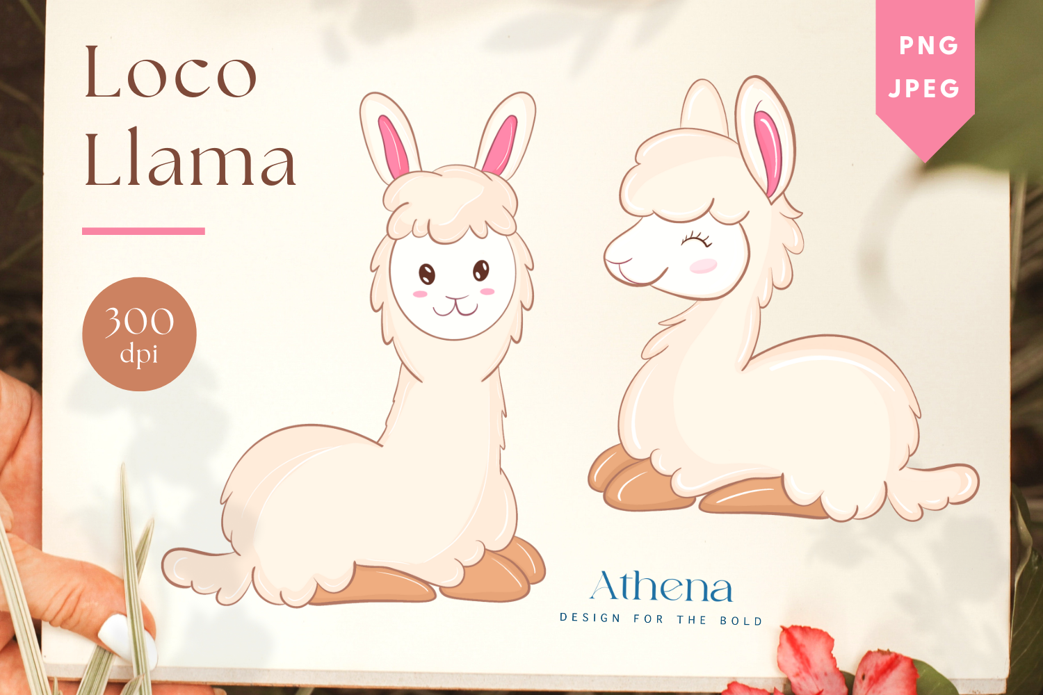 Cute Llama | 26 Graphics By Athena | TheHungryJPEG