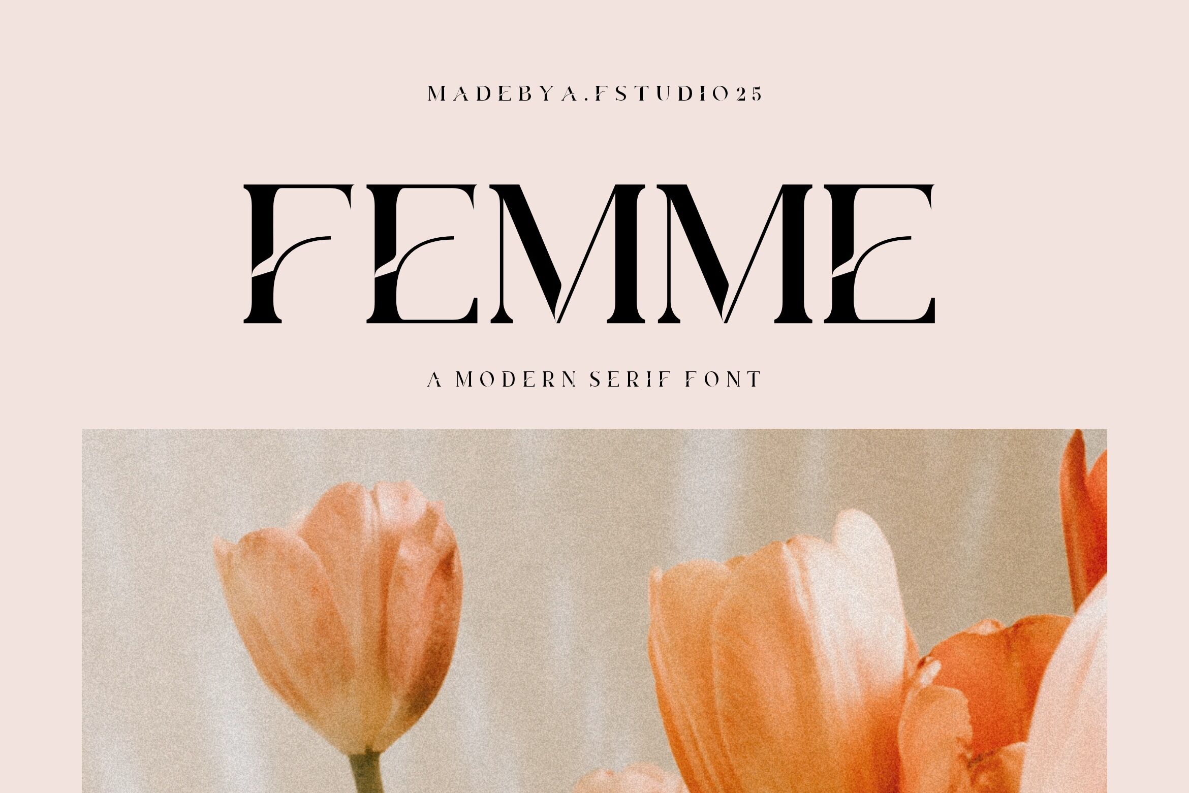Femme - a Modern Serif Font By AF STUDIO 25 | TheHungryJPEG