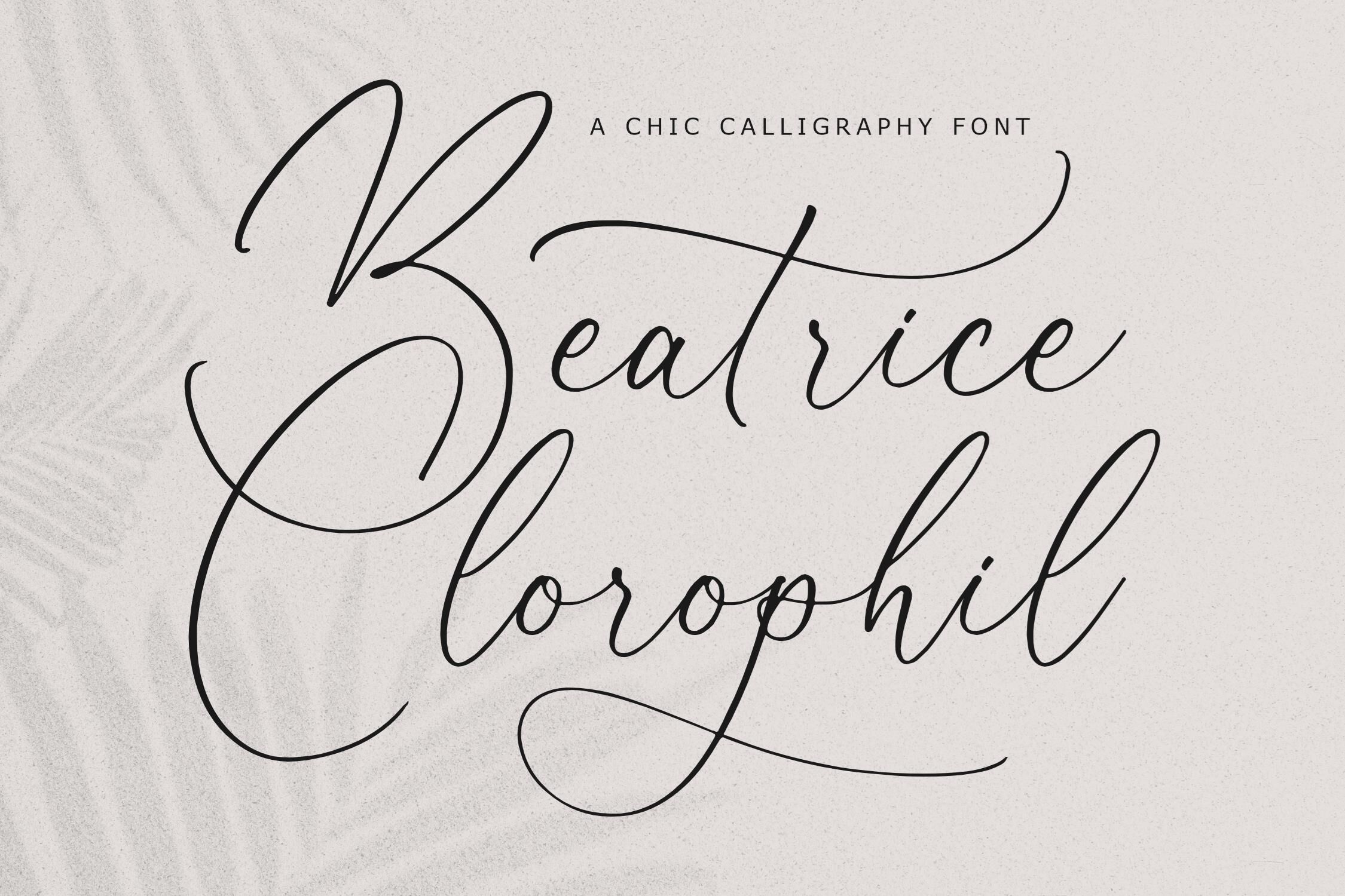 Beatrice Clorophil Chic Calligraphy Font By Storytype Studio