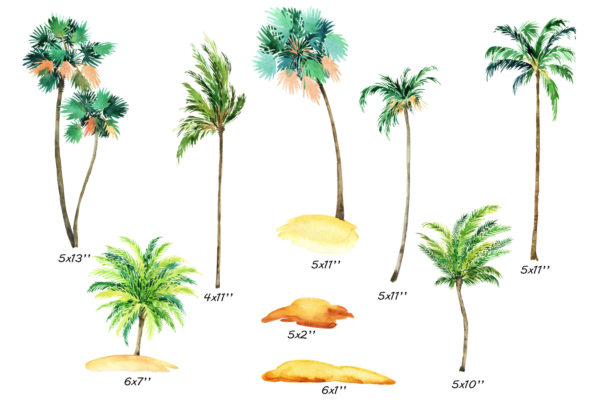 Palm Tree Clipart. Tropical Beach Scenery PNG By TWatercolor ...