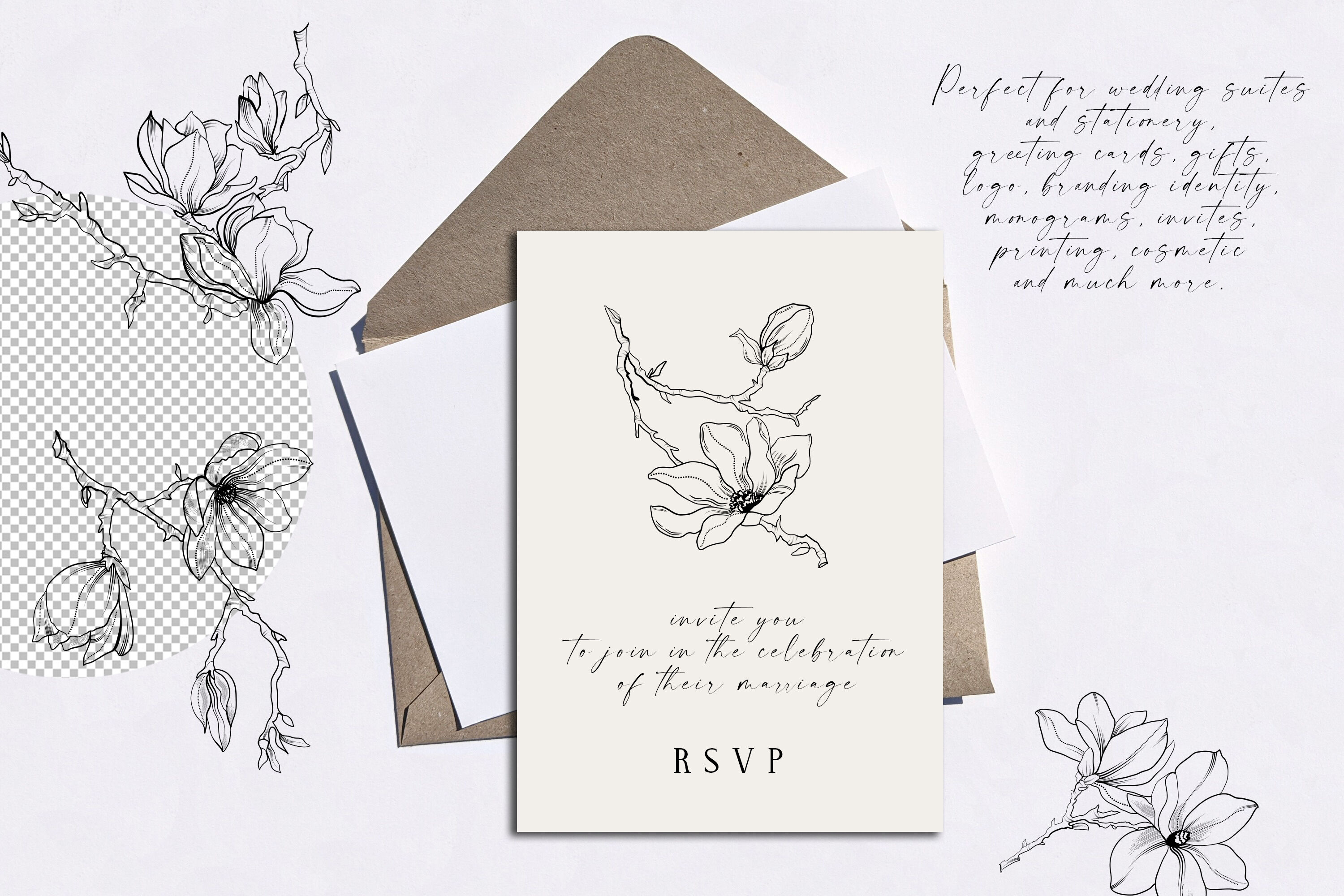 Magnolia Hand Drawn Line Art Frames By Vasmila Design | TheHungryJPEG