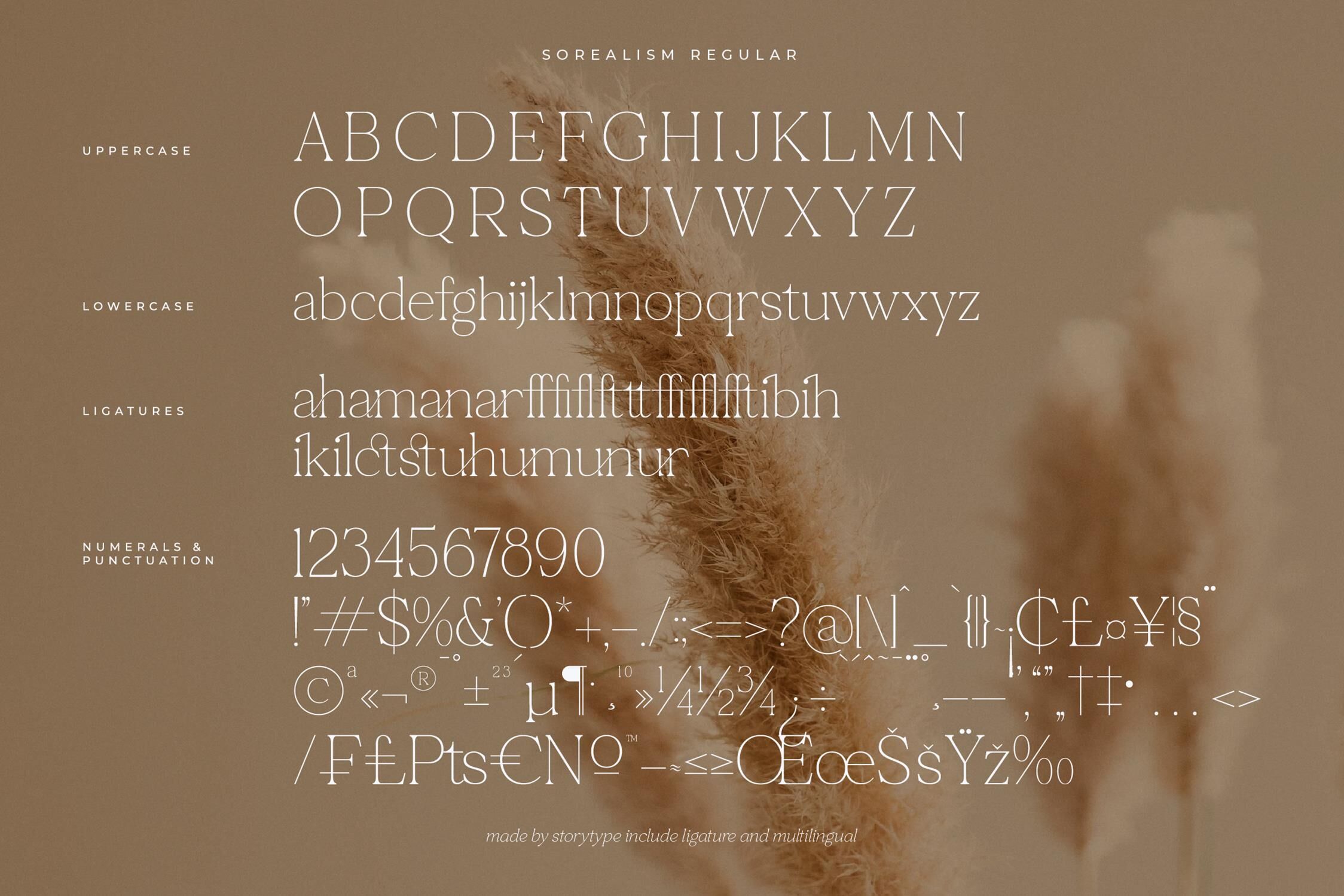 sorealism Typeface By Storytype Studio | TheHungryJPEG