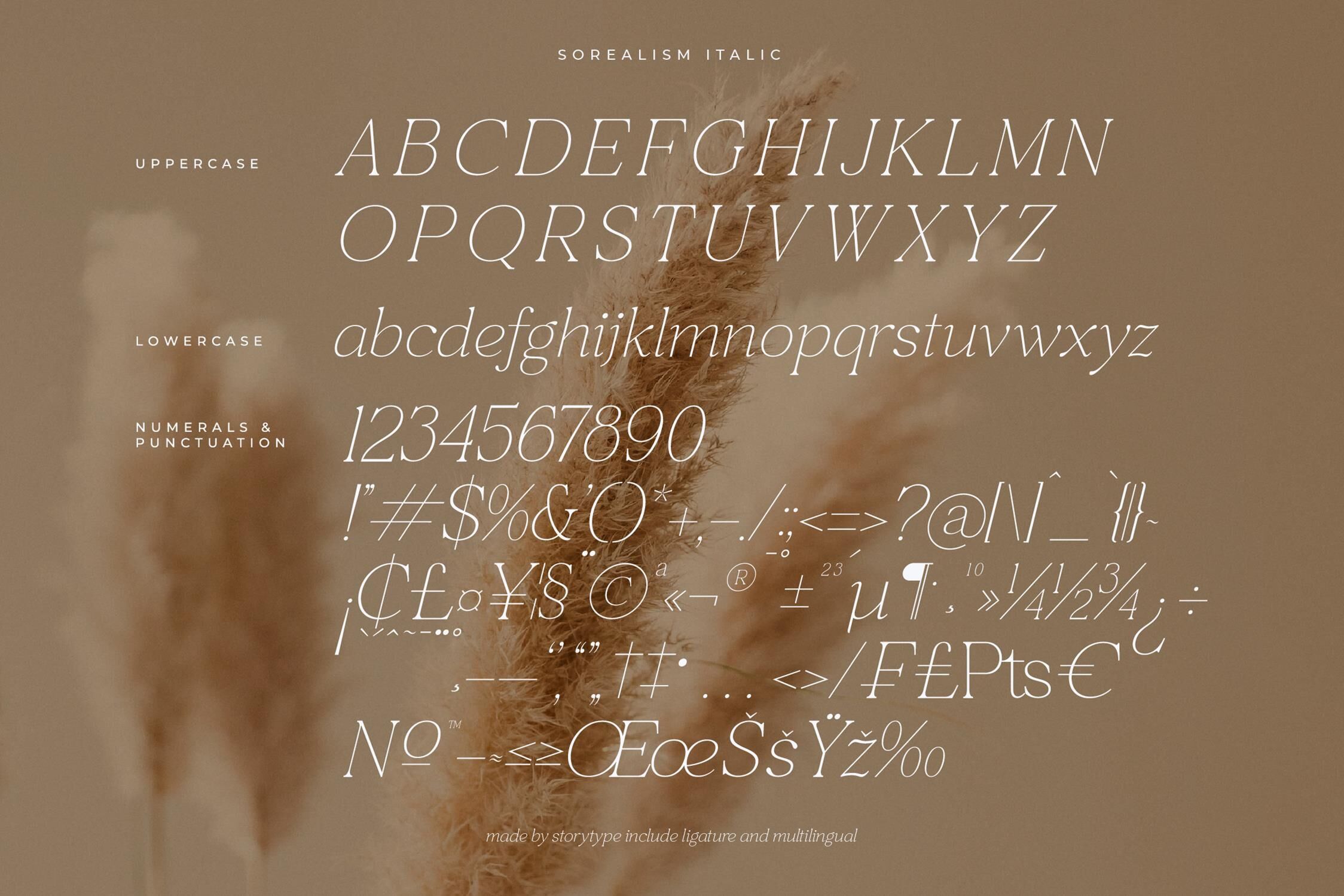 sorealism Typeface By Storytype Studio | TheHungryJPEG