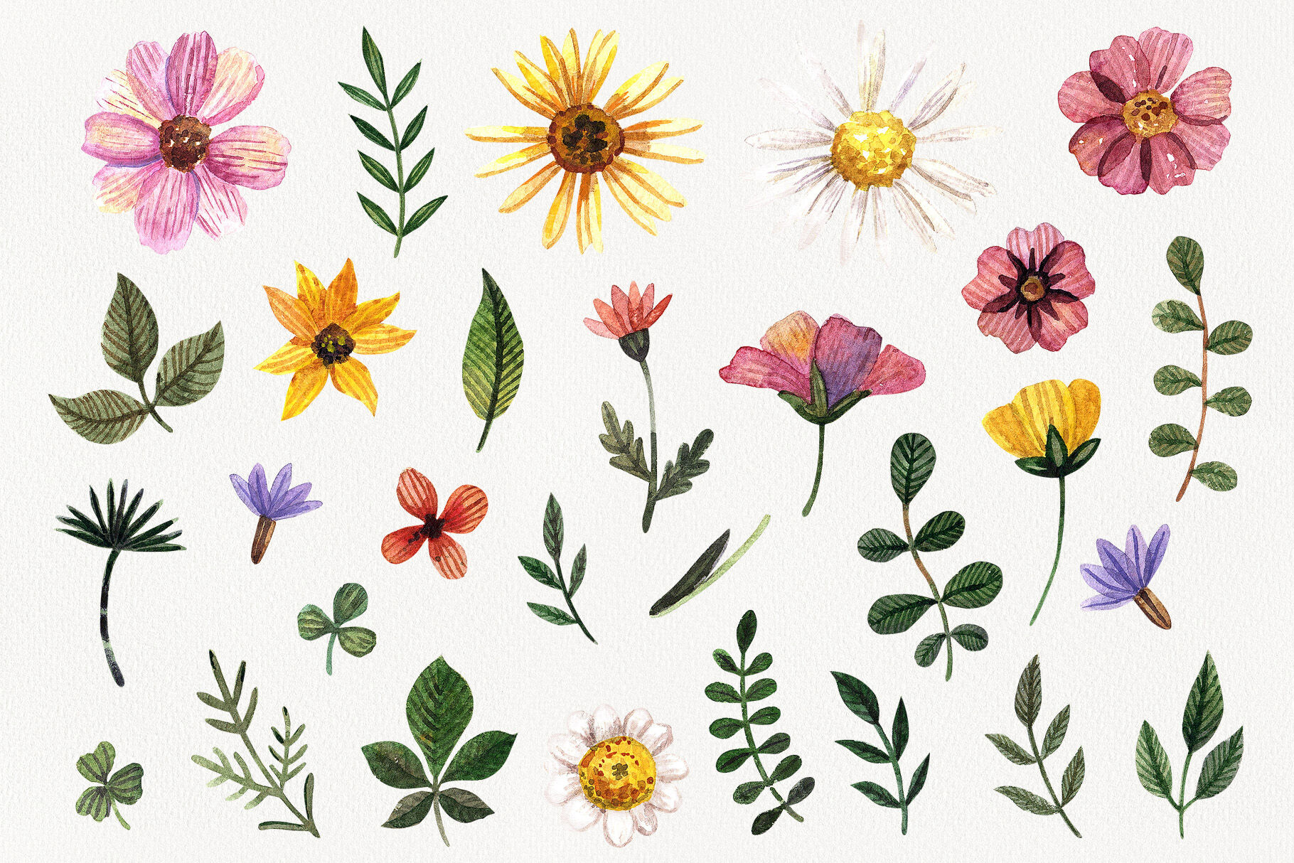 Watercolor flower clipart PNG. Wild pressed flower By Tori card