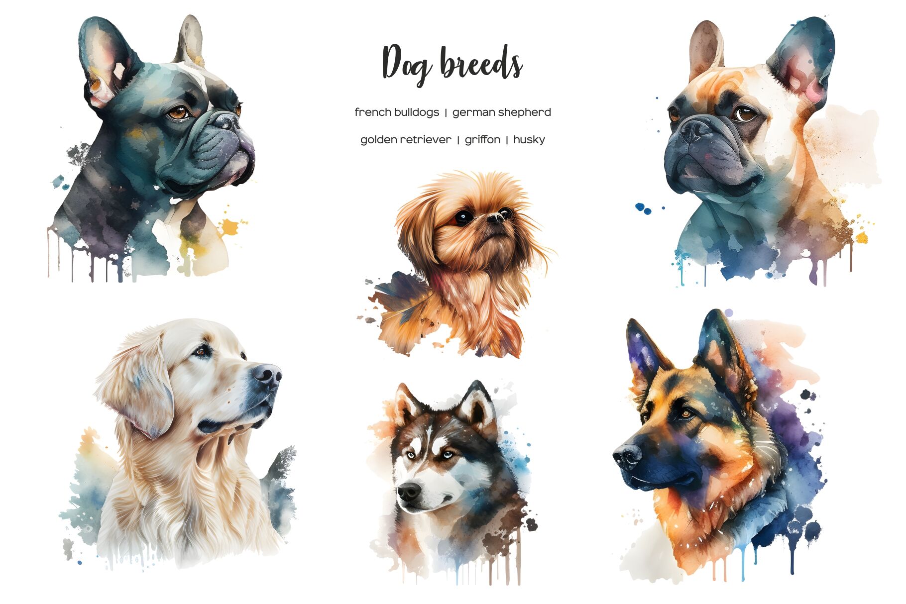 Types of dogs small to deals medium