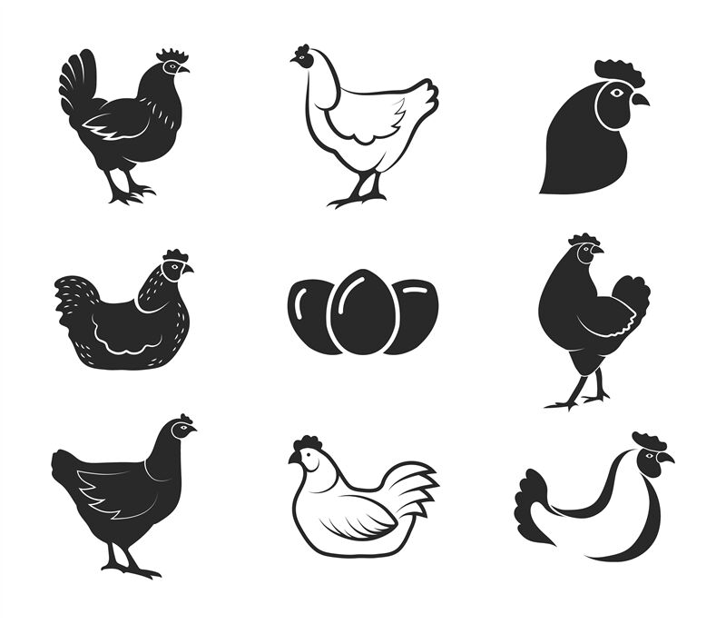 Chicken, logo png | PNGEgg