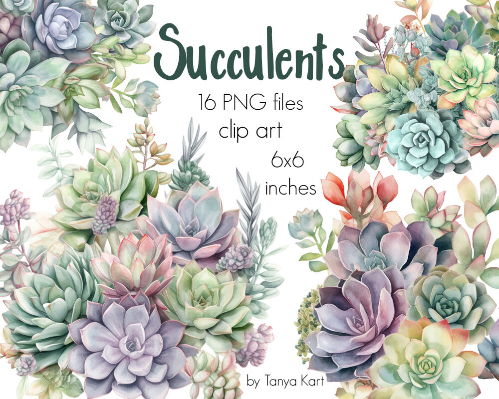 Watercolor Succulent Clipart - 16 Png Files By Tanya Kart | TheHungryJPEG