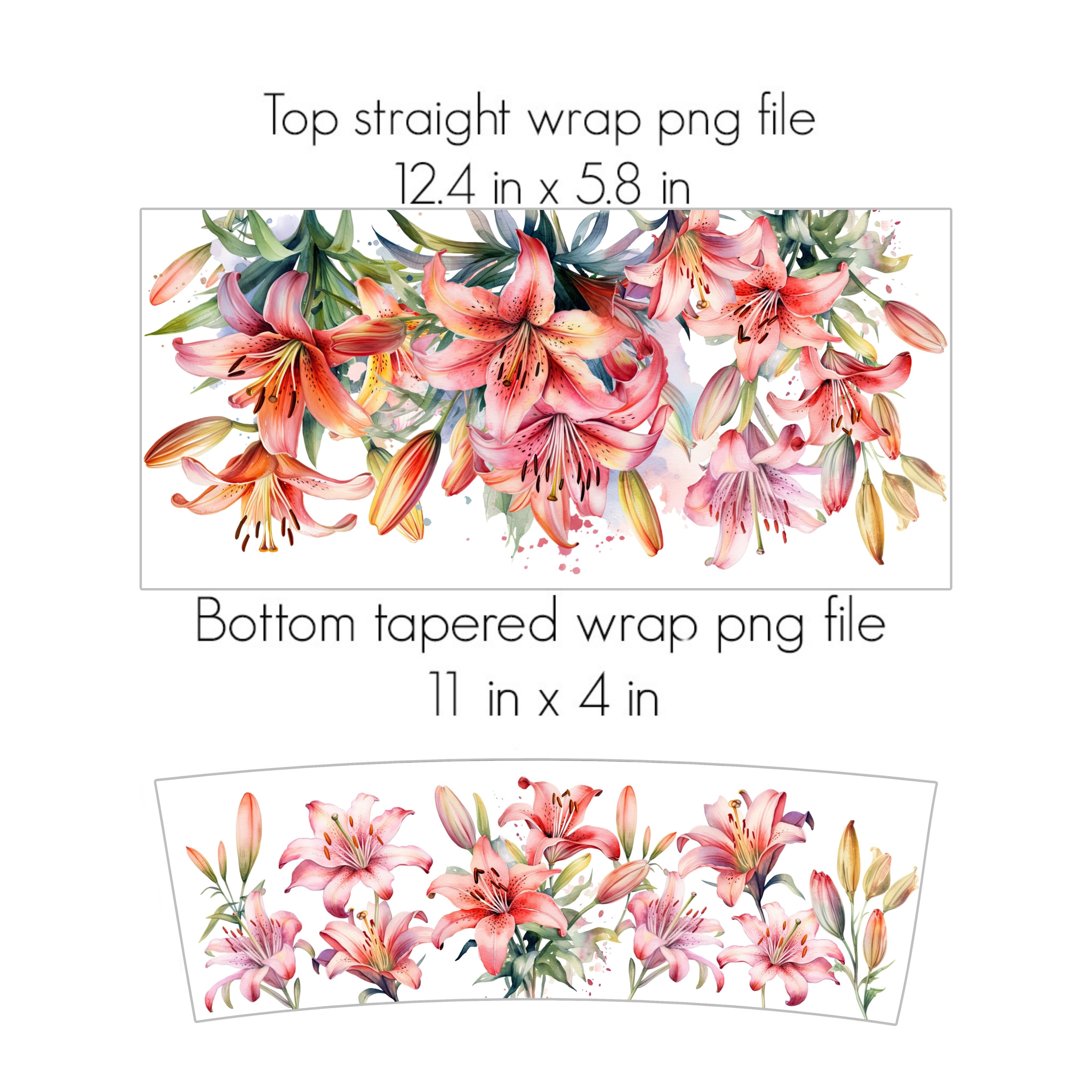 Dottie Digitals - Lily Flowers 20 Oz Straight Tumbler Wrap SVG PNG Dxf -  Floral Pattern Flowers HOGG Built Makerflo Straight Duo Sublimation Tumbler  Template
