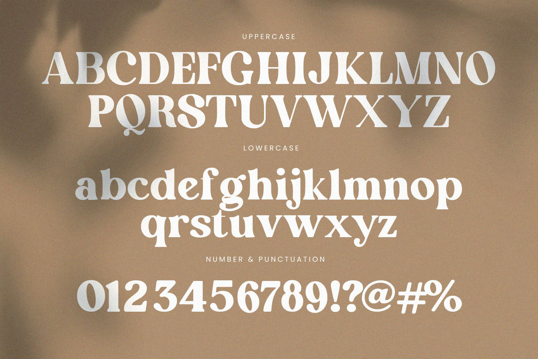 English Island Ligature Serif Font By Graphicxell | TheHungryJPEG