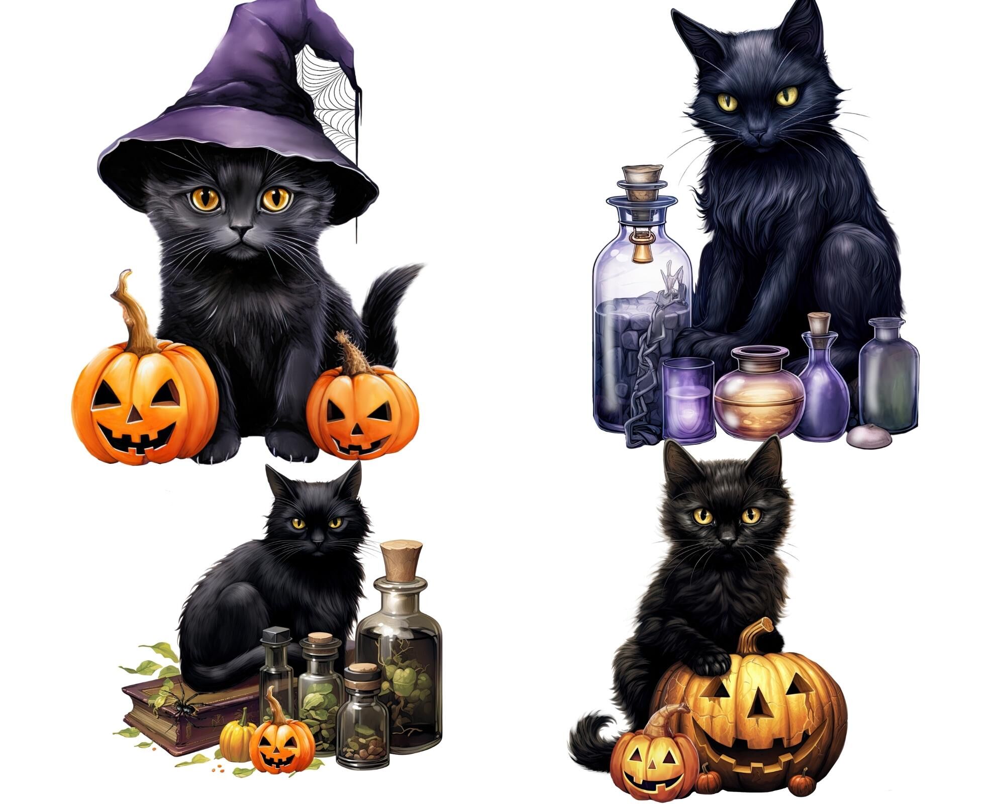 Celebrate Halloween with Black Cat and Pumpkin Sticker Fun