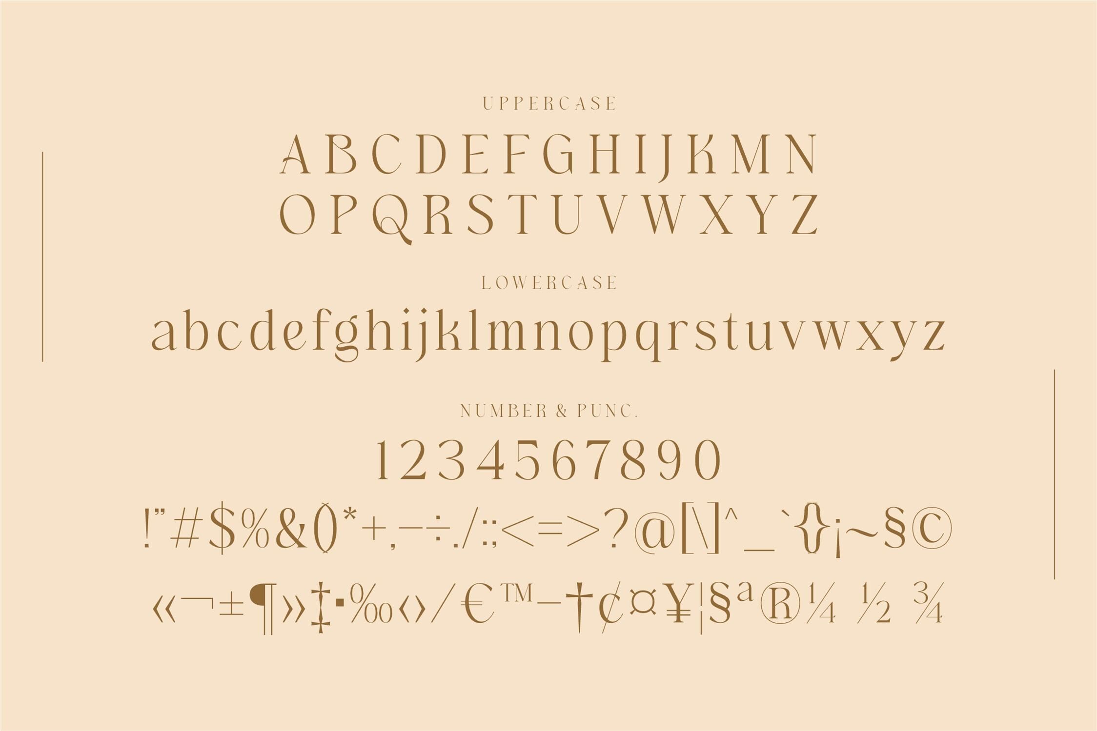 Hogbine Typeface By Storytype Studio | TheHungryJPEG