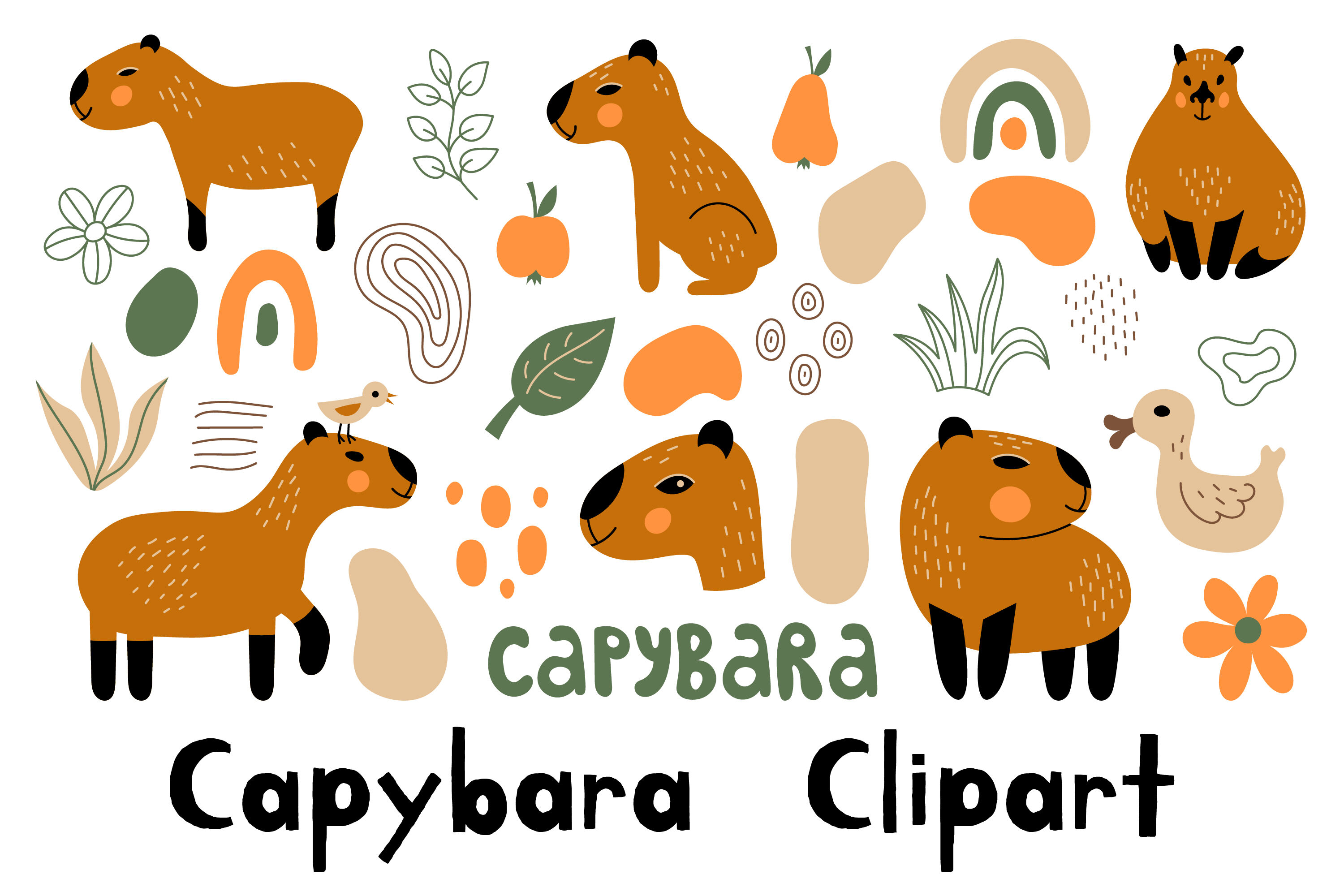 Capybara Life Cycle Clipart Set Download - Clipart 4 School