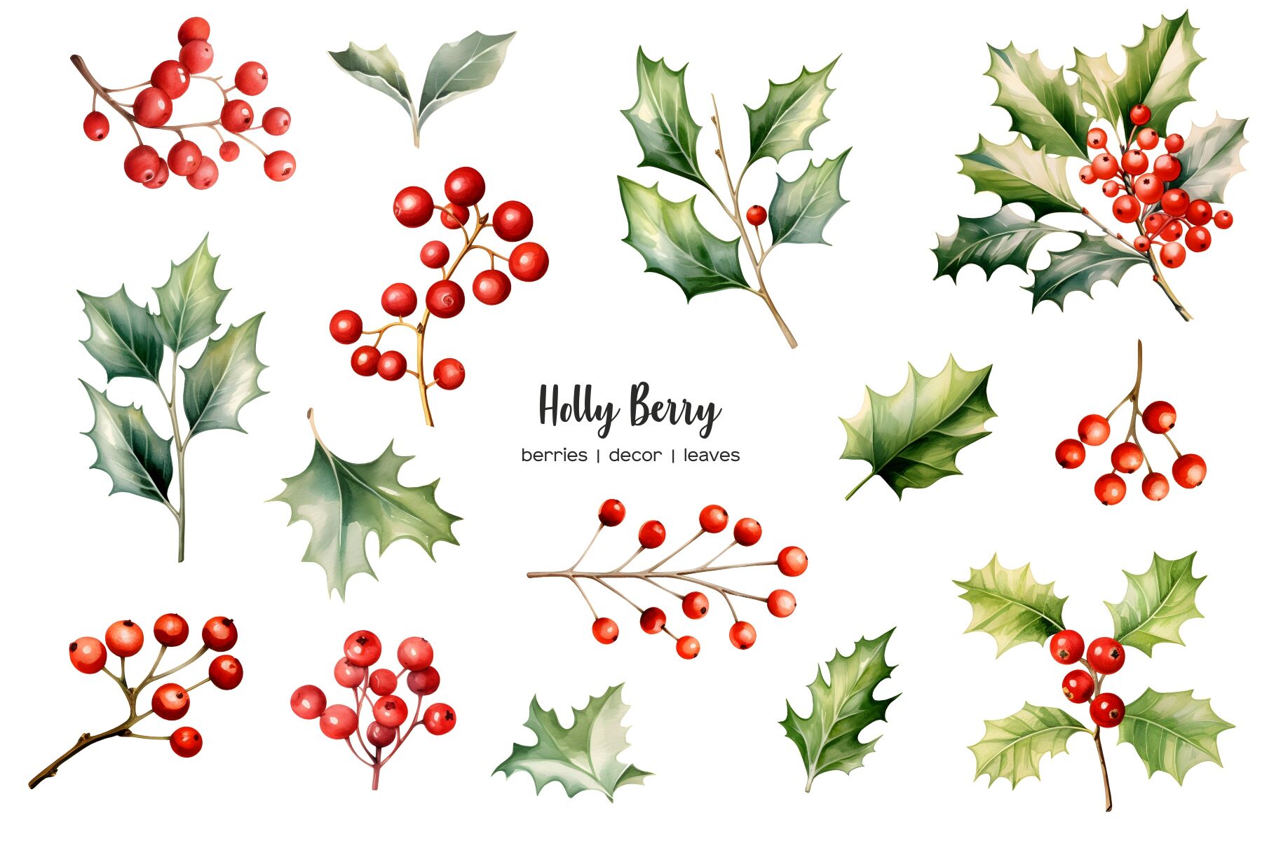 Poster Christmas holly with berries. 