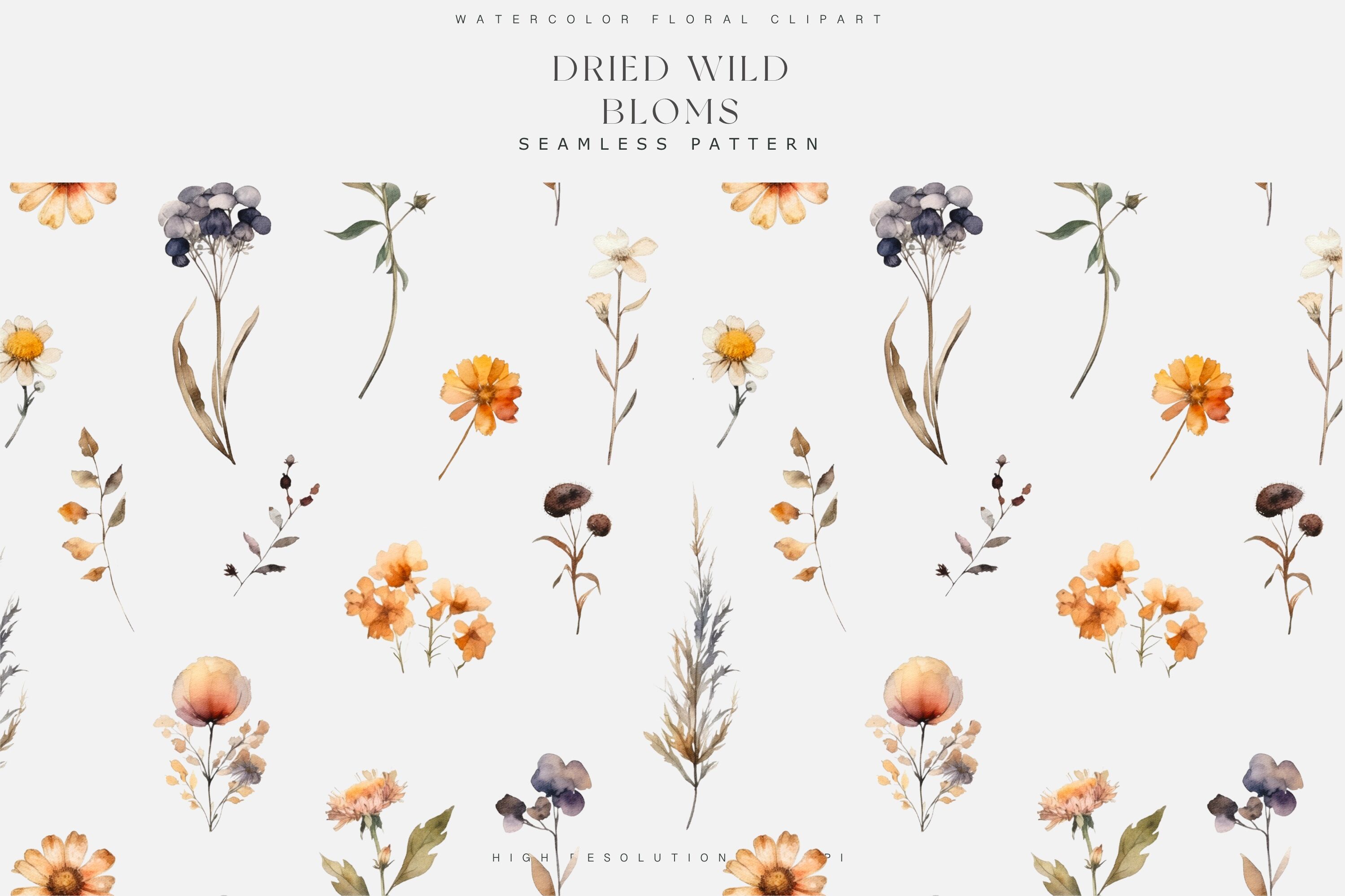 Watercolor Dried Wildflowers Clipart Collection