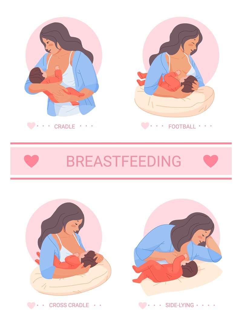 What Are Some Typical Breastfeeding Holds? - StoryMD