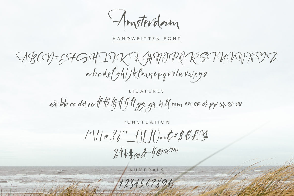 Amsterdam Handwritten Font By Vera Holera Thehungryjpeg Com