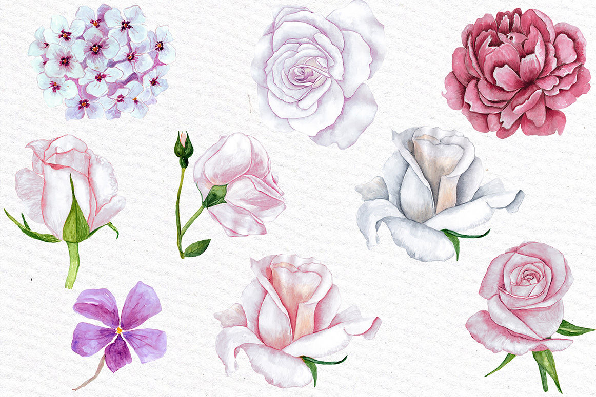 Watercolor Roses clipart By LeCoqDesign | TheHungryJPEG