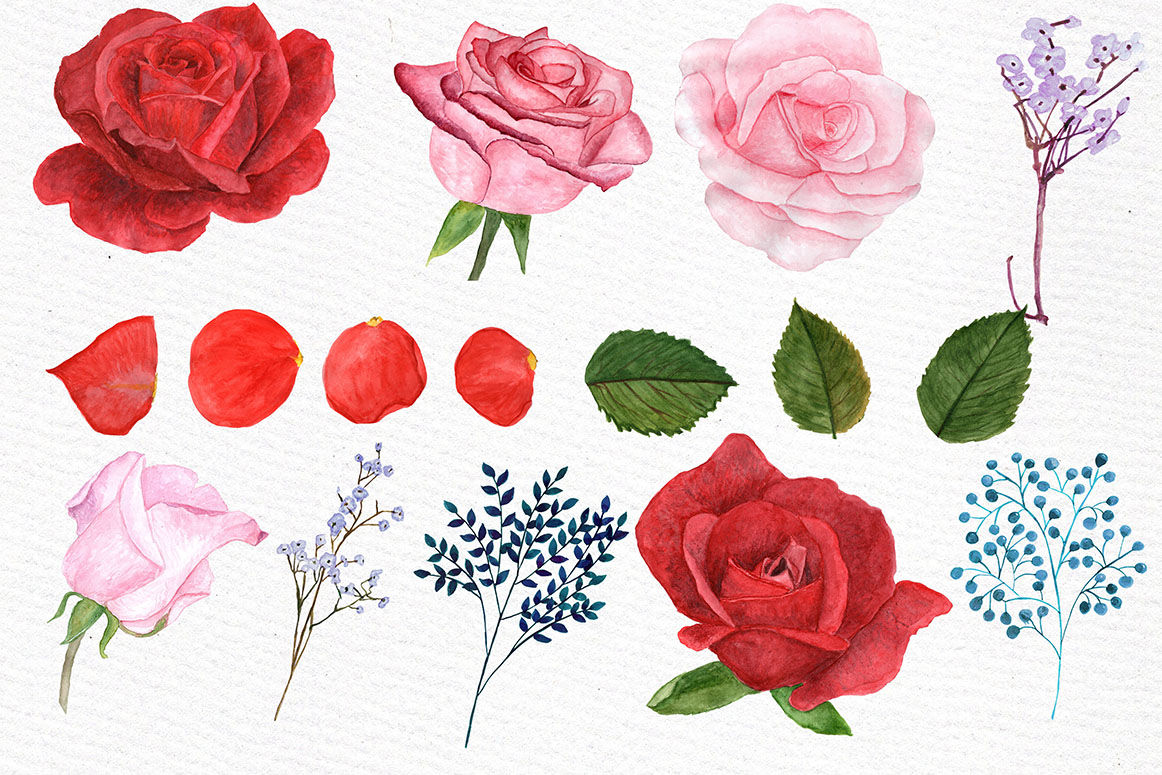 Watercolor Roses Clipart By LeCoqDesign | TheHungryJPEG