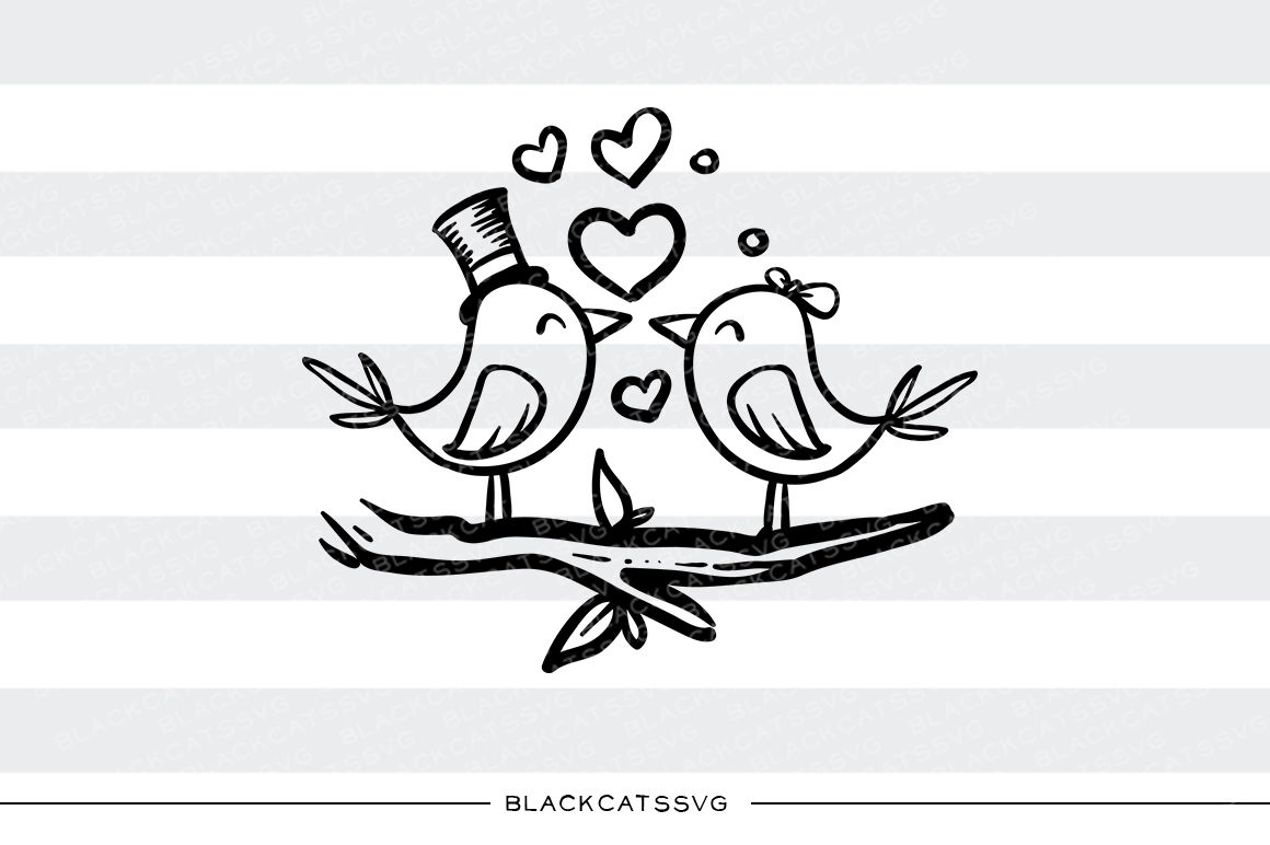 Download Love Birds Svg By Blackcatssvg Thehungryjpeg Com