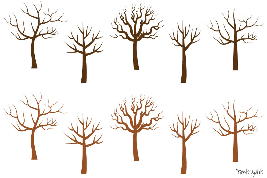 Drawing Root Tree Sketch - Simple Olive Tree Drawing, HD Png Download ,  Transparent Png Image - PNGitem